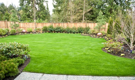 Lawns and Turfing Services