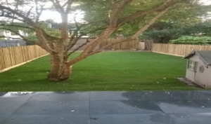 Paving, Fencing, Turfing, Beds East London